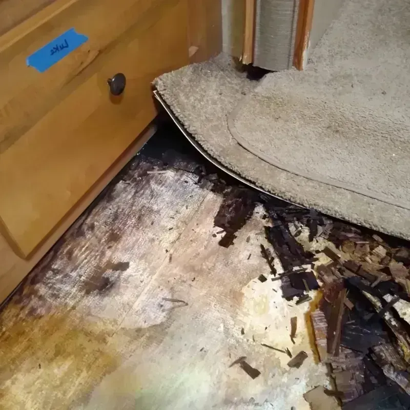 Best Wood Floor Water Damage Service in North Liberty, IA